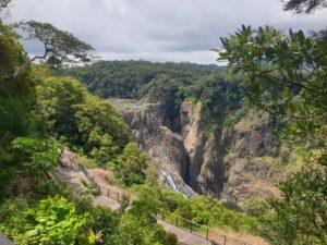 Jungle australia
